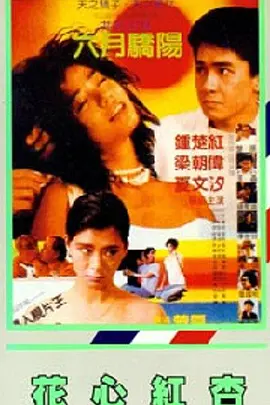 全集免费观看超清