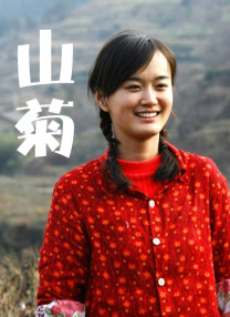 高清蓝光在线观看