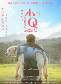 HD免费在线播放