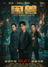 1080HD手机在线观看