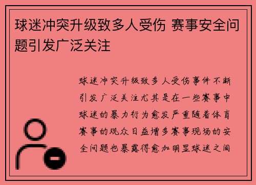 球迷冲突升级致多人受伤 赛事安全问题引发广泛关注